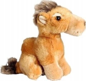 Teka Wielbł±d stoj±cy 2