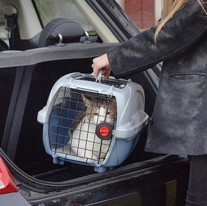 Ferplast Atlas Deluxe 20 Open - transporter z otwieranym dachem srebrno-niebieski [73040899] 4