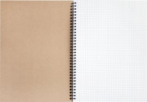 Teka Kołozeszyt A4/80K kratka Minnie Mouse Kraft 3