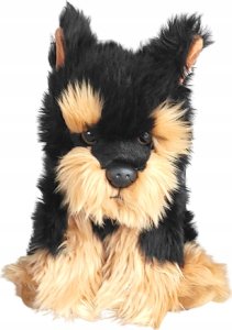 Dubi Morkie 30cm 1