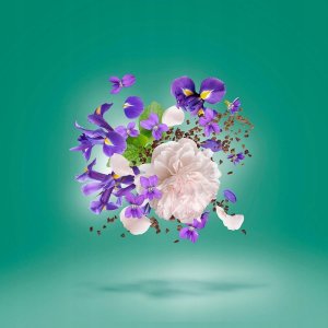 Xerjoff XERJOFF 17/17 Irisss EDP spray 100ml 2