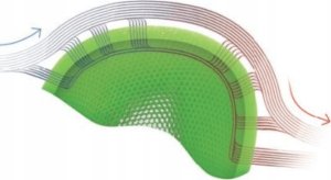 Smith Kask Smith Network MIPS Czarny Mat (55-59cm) 4