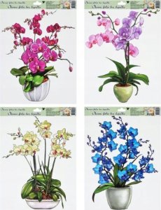 MFP paper Naklejka na okno całoroczna 887 orchidea 42x30cm 1