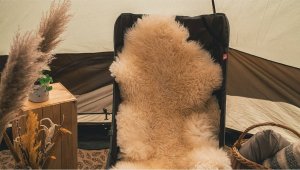 Robens Krzesło turystyczne Robens Strider - Czarne Uniwersalny 5