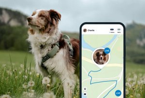 Tractive Tractive GPS DOG XL - Green 8