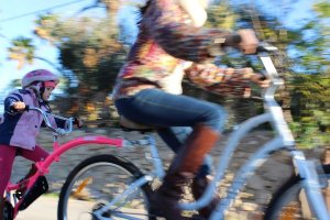 WeeRide WeeRide – Kazam Link niebieski, rower doczepiany, hol, przyczepka, doczepka, EAN 016751374758 3