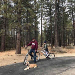 WeeRide WeeRide – Kazam Link niebieski, rower doczepiany, hol, przyczepka, doczepka, EAN 016751374758 4