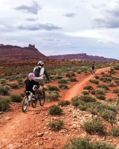 WeeRide WeeRide – Kazam Link niebieski, rower doczepiany, hol, przyczepka, doczepka, EAN 016751374758 5