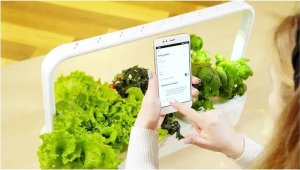 Click And Grow Click & Grow Smart Garden 9 Pro, white 3