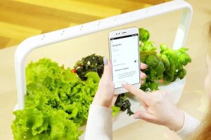 Click And Grow Click & Grow Smart Garden 9 Pro, white 7