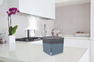 Wenko Pochłaniacz wilgoci, osuszacz wilgoci, osuszacz adsorpcyjny, pochłaniacz wilgoci do auta, pochłaniacz wilgoci do łazienki, Wenko 5