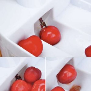 Jata Drylownica do wiśni Ruhhy 20623 4