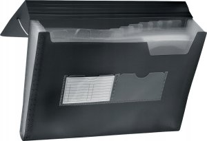 Teka Teczka harmonijkowa A4 gumka nar. 13 przegród czar 2