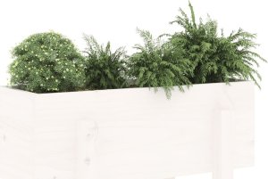 vidaXL vidaXL Donica ogrodowa, biała, 62x30x38 cm, lite drewno sosnowe 3