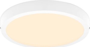 Lampa sufitowa Philips MAGNEOS SF DL252 RD 284 20W 27K WH 06 12