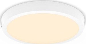 Lampa sufitowa Philips MAGNEOS SF DL252 RD 284 20W 27K WH 06 15