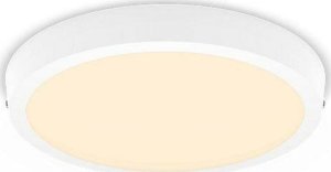 Lampa sufitowa Philips MAGNEOS SF DL252 RD 284 20W 27K WH 06 18