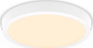 Lampa sufitowa Philips MAGNEOS SF DL252 RD 284 20W 27K WH 06 6