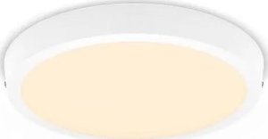 Lampa sufitowa Philips MAGNEOS SF DL252 RD 284 20W 27K WH 06 7