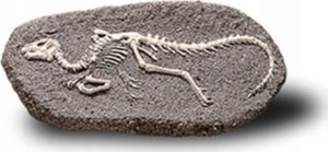 Figurka Teka Duża figurka dinozaura - wykopalisko kamień MIX 7