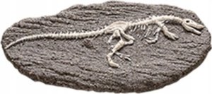 Figurka Teka Duża figurka dinozaura - wykopalisko kamień MIX 8