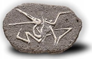 Figurka Teka Duża figurka dinozaura - wykopalisko kamień MIX 9