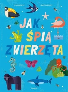 Skrzat Jak ¶pi± zwierzęta 1