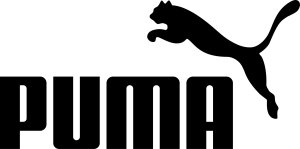 Puma Puma Future Ultimate FG/AG 107165-01 Niebieskie 35,5 2
