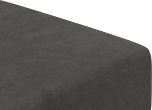 vidaXL 2-osobowa kanapa, ciemnoszara, tapicerowana aksamitem 9