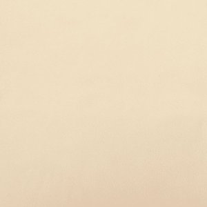 vidaXL vidaXL 2-osobowa kanapa, kremowa, tapicerowana aksamitem 10