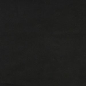 vidaXL 2-osobowa kanapa, 2 poduszki, czarna, aksamitna 10