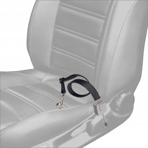 DOGGY SMYCZ - PAS BEZPIECZEŃSTWA 2