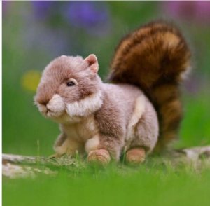 Teka Pluszowa wiewiórka szara 6