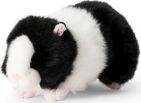 Teka Pluszowa świnka morska 4