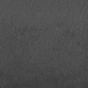 vidaXL 2-osobowa kanapa, ciemnoszara, tapicerowana aksamitem 10