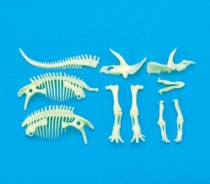 Teka świecący w ciemności szkielet Triceratops 2
