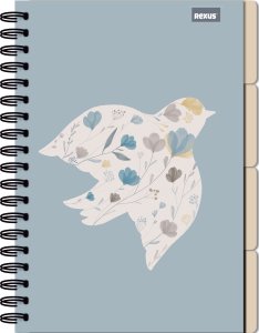 Teka Kołozeszyt B5/96K kratka Vibe flow 3