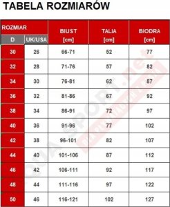 Speedo Damski Strój kąpielowy ECO* END+ MEDALIST AF 2