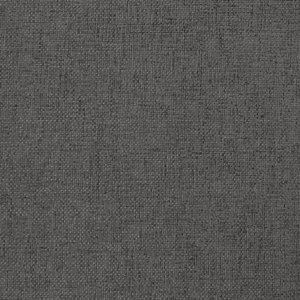 vidaXL 2-osobowa kanapa rozkładana, ciemnoszara, tapicerowana tkaniną 10