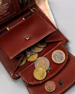 Peterson Mały, Skórzany Portfel Damski Na Zatrzask 10