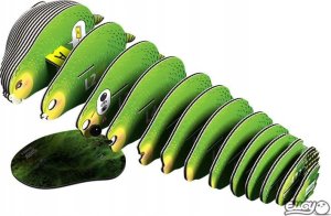 Teka Papuga Kakapo Eugy Eko* Układanka 3D 5