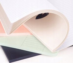 Teka Zeszyt klejony A4/48K linia 1918 różowy MILAN 4