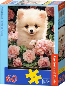 Castorland Puzzle 60 Pomeranian Puppy in Roses CASTOR 1