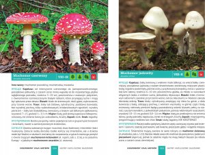 Peggy Diggledey Kieszonkowy atlas grzybów 5