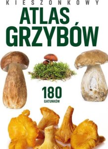 Peggy Diggledey Kieszonkowy atlas grzybów 7