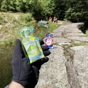 LEGO Żel energetyczny Chimpanzee cytrynowy, 35 g 6