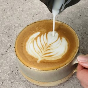 Electrolux Ekspres cinieniowy kolbowy Explore 6 E6EC1-6BST 7