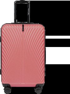 Wings Wings komplet 4 walizek podróżnych serii SWAN SN120-4 L,M,S,XS DIRTY PINK 3