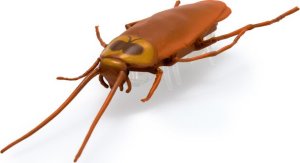 Hexbug HEX BOTS interactive toy Nano Real Bugs 5 pack 4