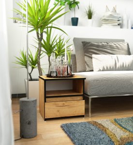 Fabryka Mebli Akord KOMODA CL1 DĄB CRAFT 6